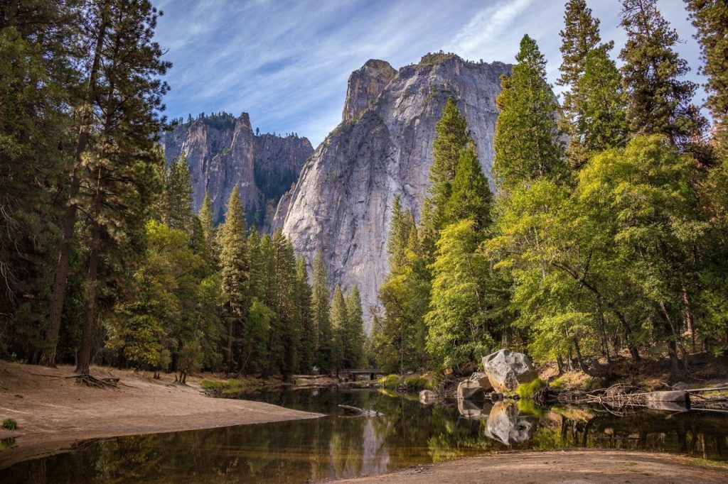 Landscape Tree Forest Rock Waterfall Wilderness 34597 Pxhere.com  1024x682